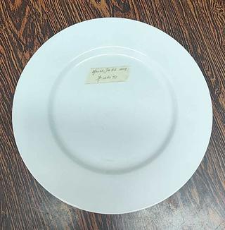 PLATO PORCELANA 10.25" BTOX36PZ