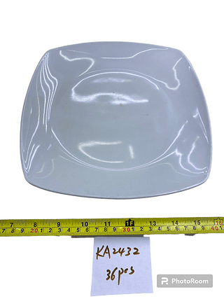 PLATO PORCELANA 10.5PG PARRILLERO BT20PZ