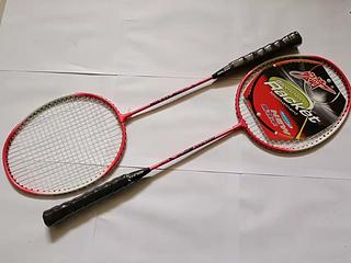RAQUETA DE BADMINTON BT50PZ