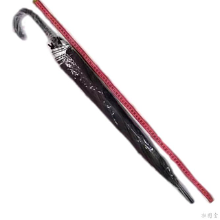 PARAGUA GRANDE BT100PZ