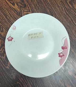 PLATO PORCELANA 9 " BTOX48PZ